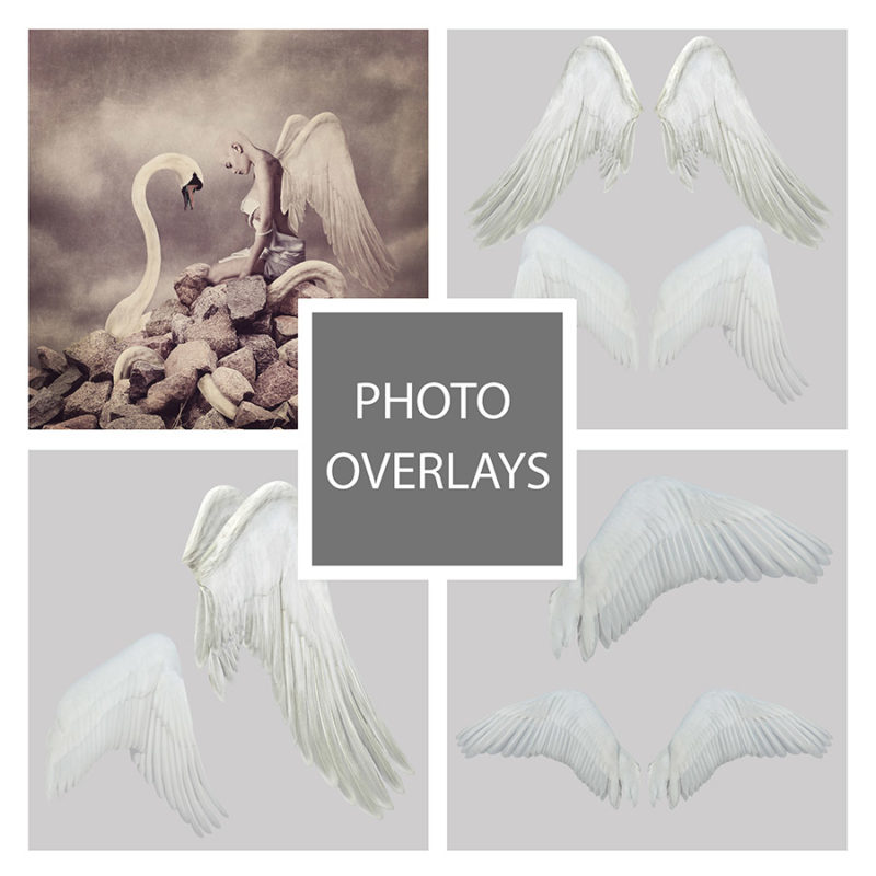 skrzydła-labedzia-aniola-biale-czarne-nakladki-fotograficzne-photoshop-psd-png-edycja-zdjec-1