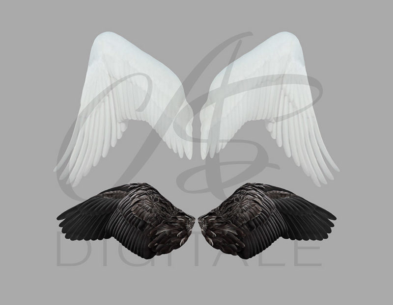 skrzydła-labedzia-aniola-biale-czarne-nakladki-fotograficzne-photoshop-psd-png-edycja-zdjec-4