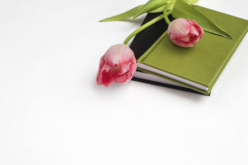 kwiaty-tulipany-kobiece-lifestylowe-zdjecia-stockowe-darmowe-pobierz-2